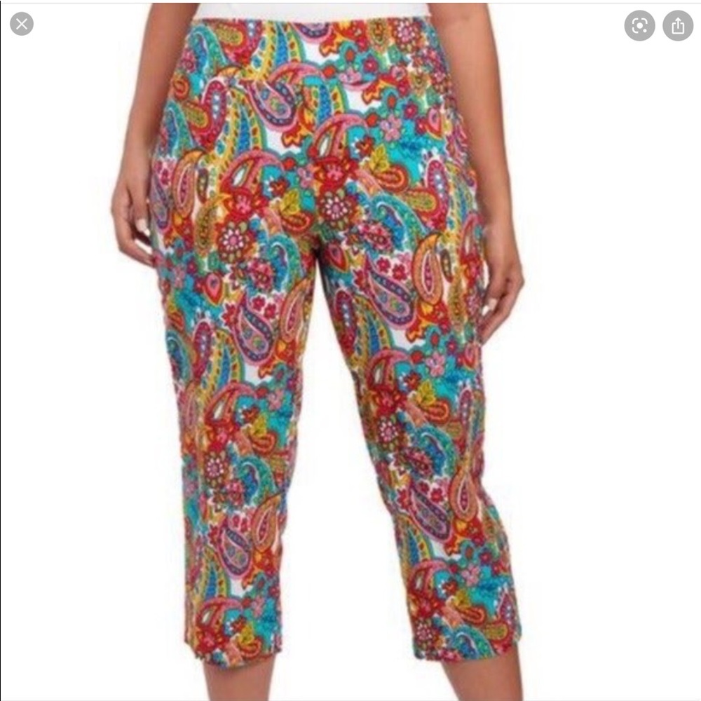 🅿️🆕Attyre Paisley Crop Pull-On Pants 🌸🌼🦚🐬